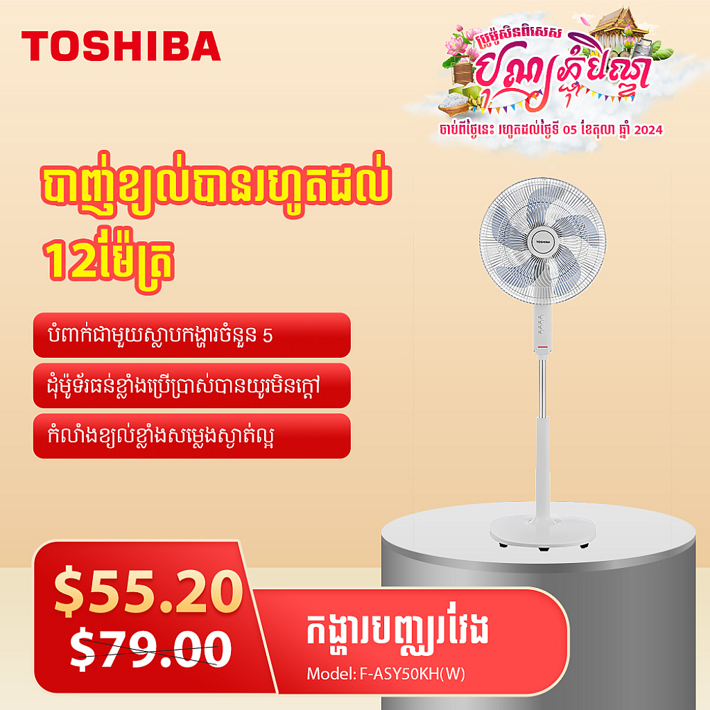 Toshiba Electric  Fan (16